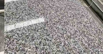 来宾 芙蓉白光面