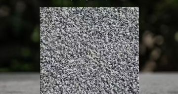 来宾 芝麻黑荔枝面