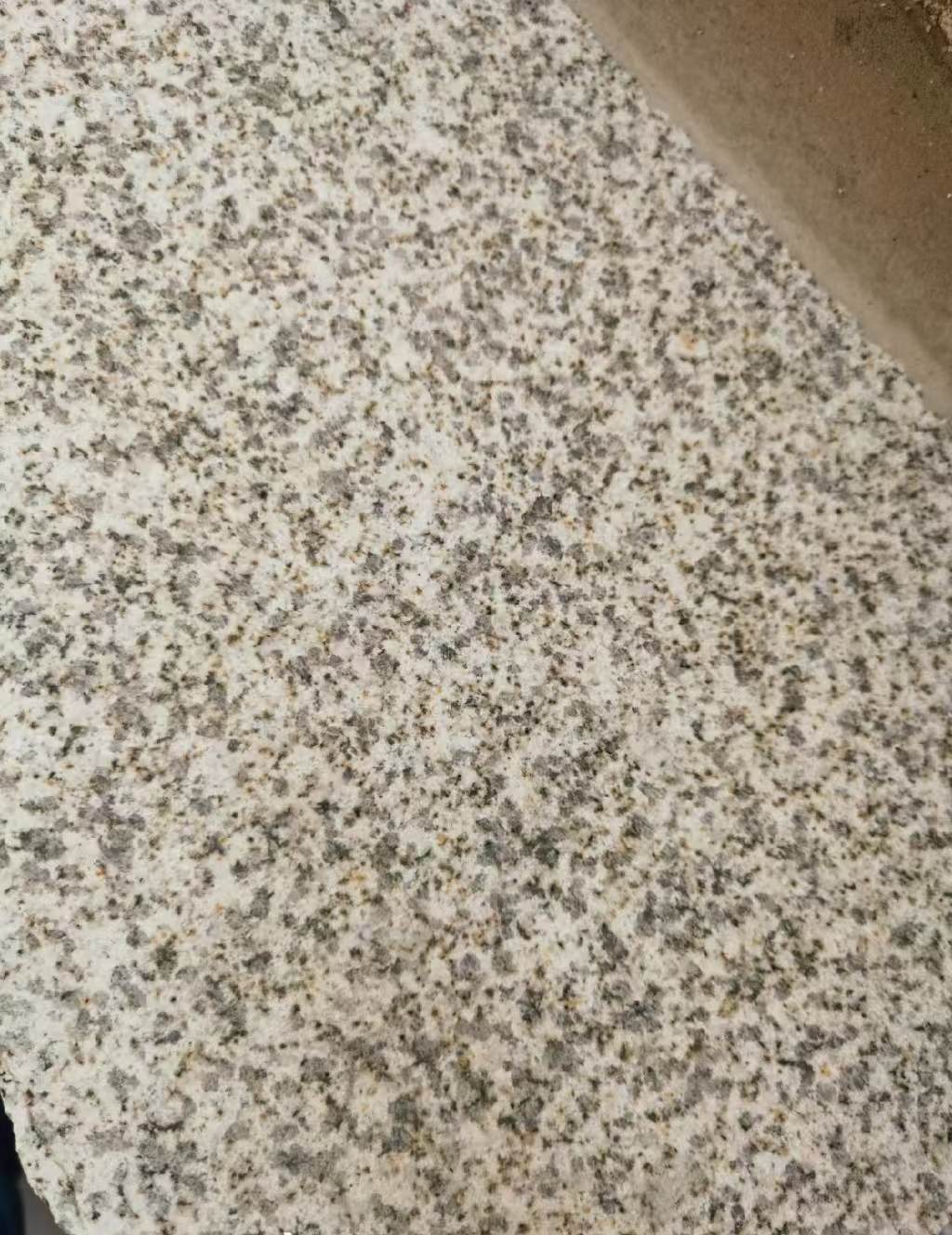 来宾 黄金麻中黄光面