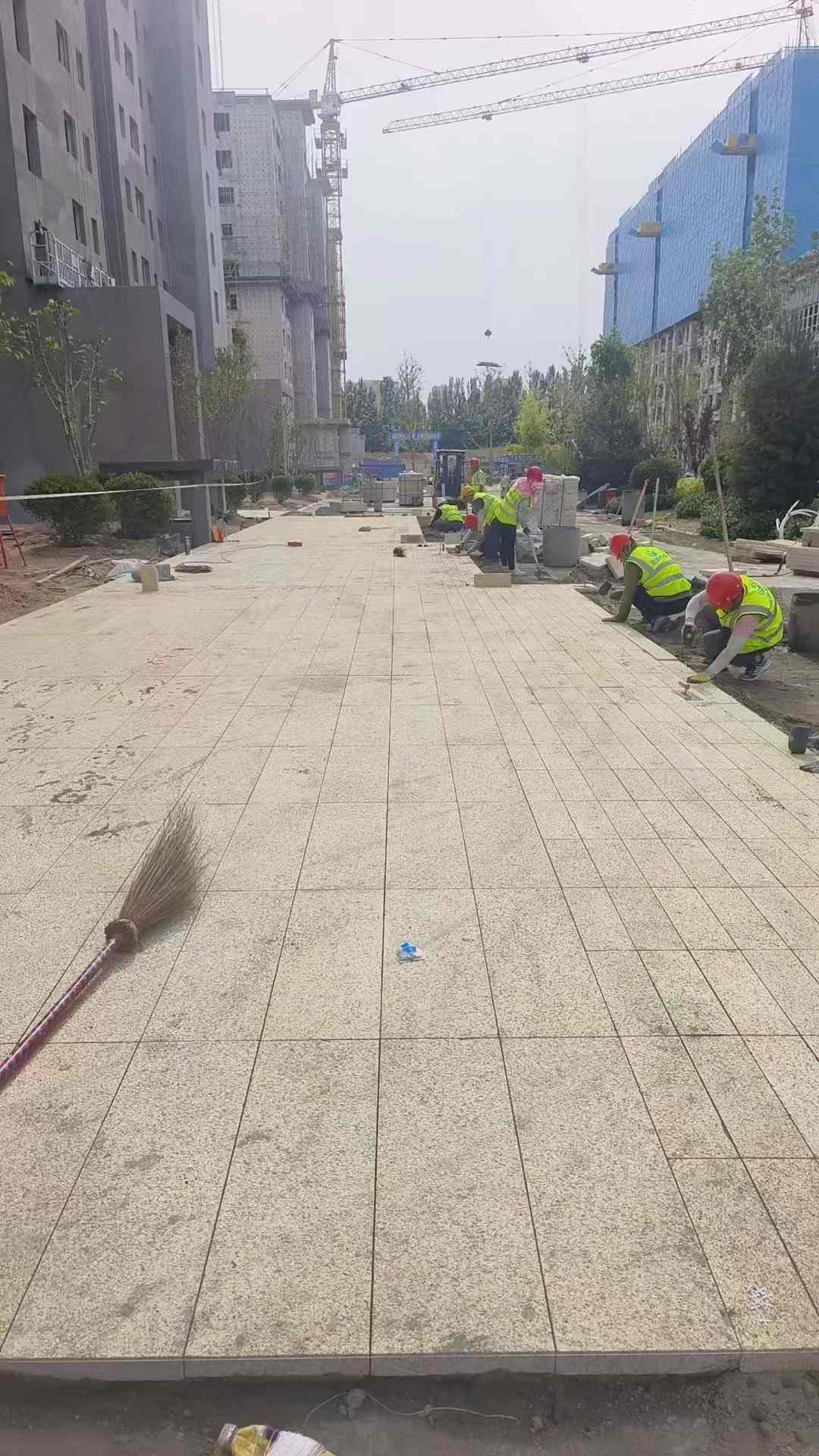 来宾黄金麻荔枝面地铺案例