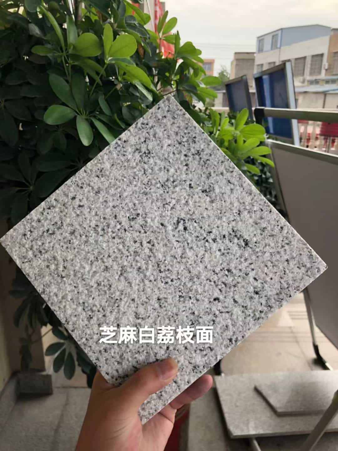 来宾 芝麻白荔枝面干挂