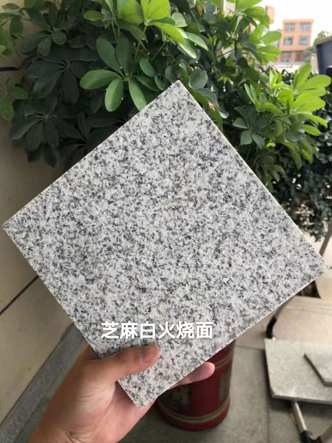 来宾芝麻白火烧面地铺