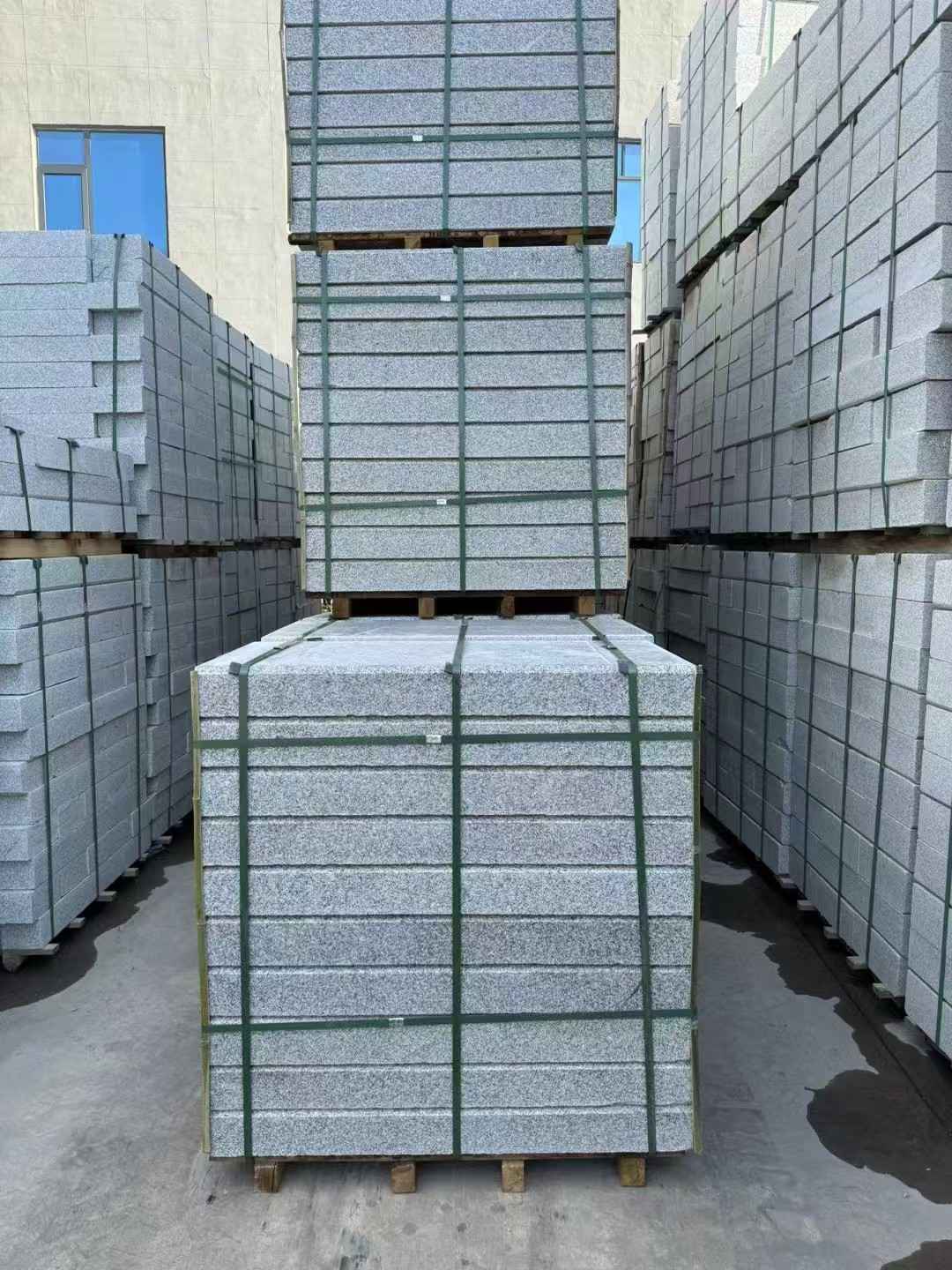 来宾 公园台阶石