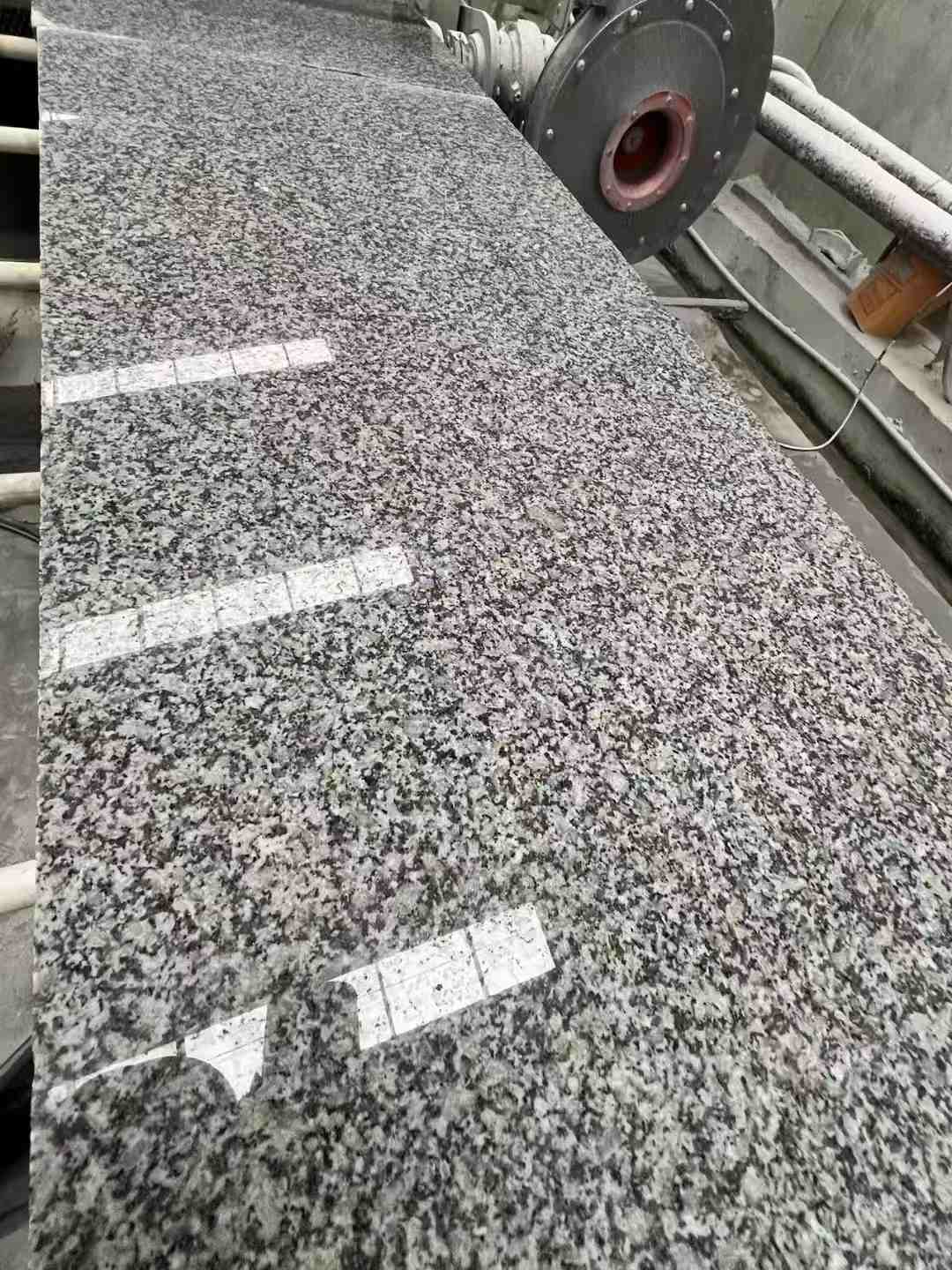 来宾 芙蓉白光面