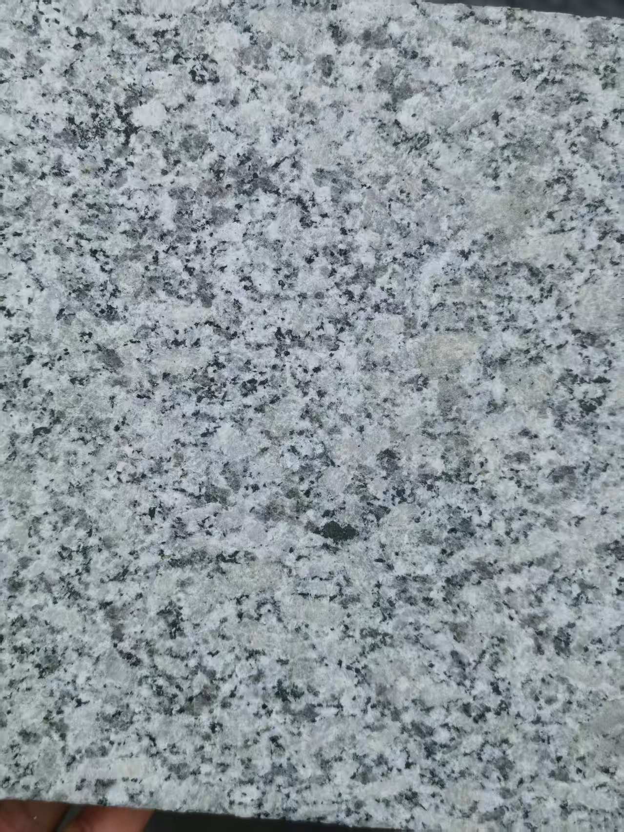 来宾 芙蓉白火烧面